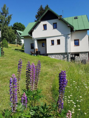 U Kobrů, Spindleruv Mlýn